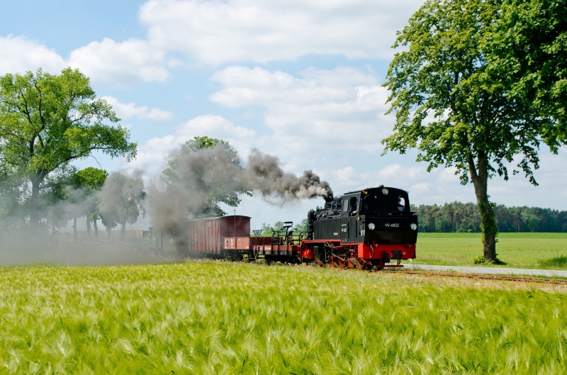 steam railway, tree, metal, historically, train, no people, railway nostalgia, nostalgia, force, formerly, steam, agriculture, prignitz, 4K, field, heat