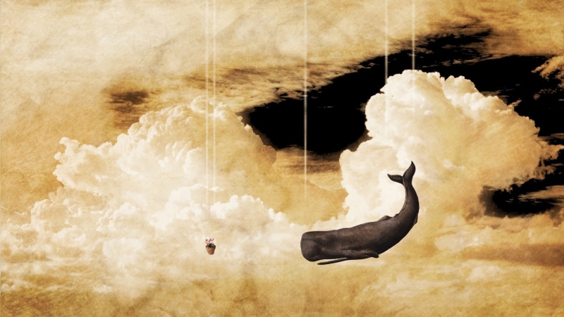 profile view, sky whale clouds imagination the hitchhikers guide to the galaxy, digital composite, 2K, nature, animal wildlife, mammal, motion, power in nature
