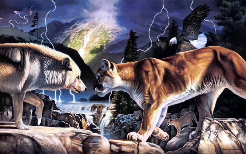 Wolves, lions, Duel, 2K, Lion, paintings, Painting