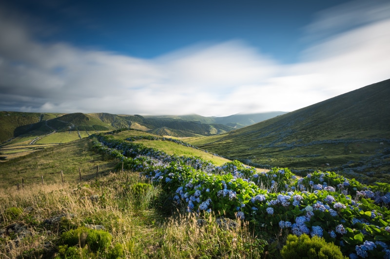 landscape, grass, USM, nature, Ilha das Flores, blue sky, summer, Lee Filters, Lightroom, sky, springtime, scenics, 35mm, Azores, Adobe Lightroom, Canon EF