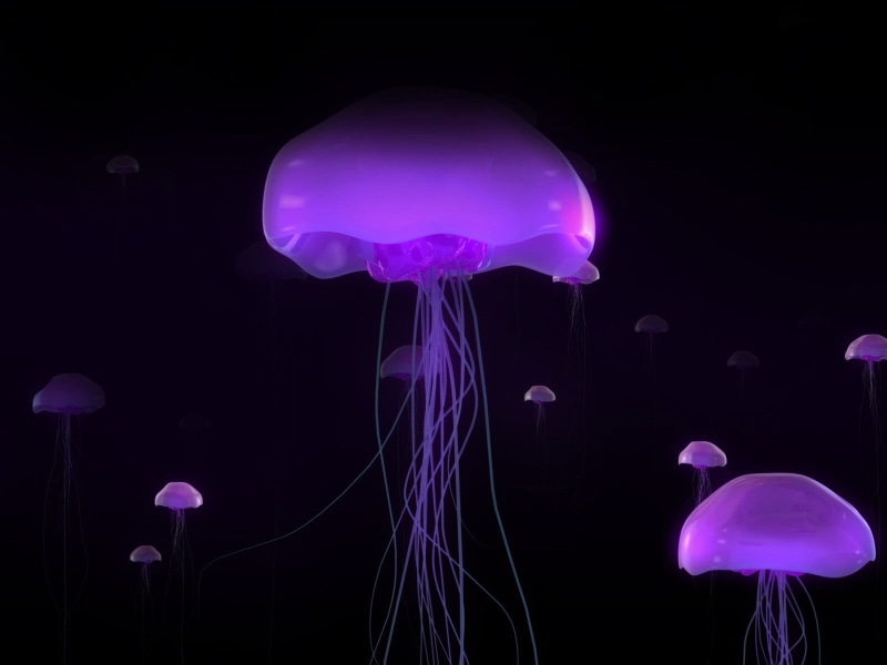 animal, water, jelly, indoors, invertebrate, sea life, jellyfish, motion, luminosity, floating on water, illuminated, animal wildlife, 720P, Medusa, no people