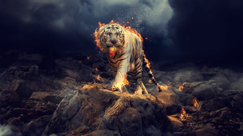 cloud - sky, outdoors, one animal, solid, burning, white tiger, smoke - physical structure, animal, 1080P, digital art, fire - natural phenomenon, tiger