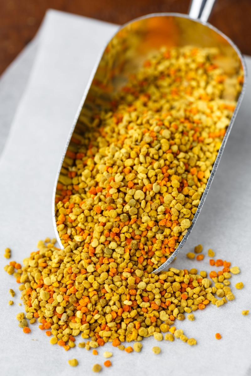 healthy, spice, remedy, foods, high angle view, legume family, eating utensil, close-up, medicinal, yellow, 5K, scoop, bean, medicine, grain, fresh, wellbeing