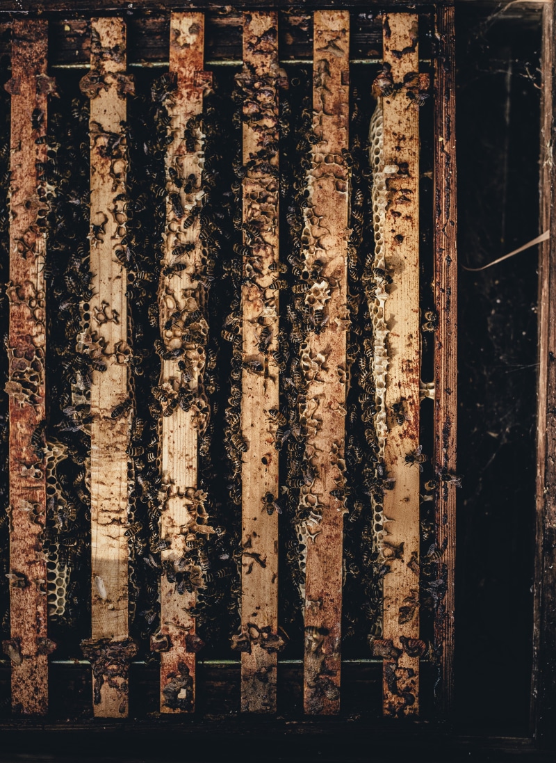 building exterior, close-up, textured, damaged, pallet, old, rusty, metal, wood, day, decline, apiculture, black, architecture, dirty, honeycomb, beehive