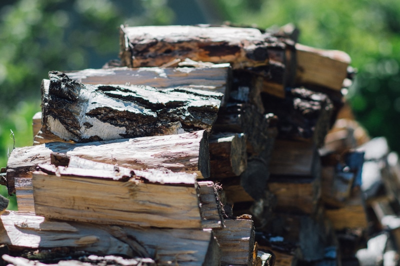 daytimes, no people, close-up, stack, damaged, logs, log, bark, invertebrate, land, 4K, selective focus, forest, day, firewood, focus on foreground, field