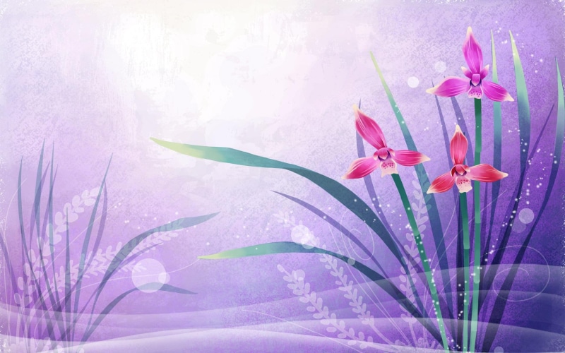 flowers, flower, 1080P, x264, nature, vector, vector art, art, 3d and abstract