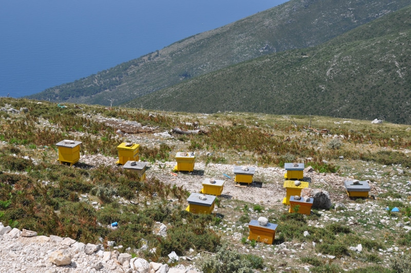 outdoors, box - container, sky, box, landscape, beauty in nature, outdoor, day, beehives, sea, summer, tourism, traditional, sunlight, blue, coast, 4K