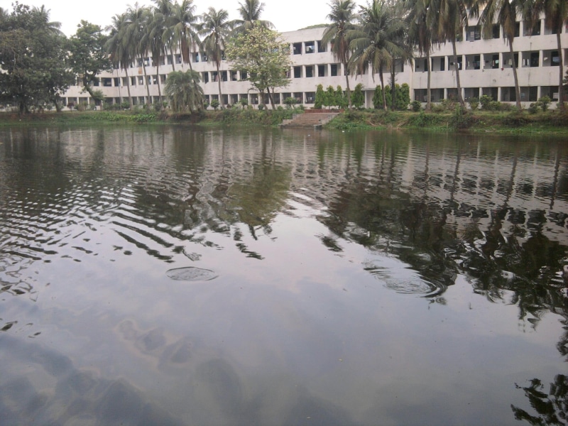 nice, 1080P, lake, nature, pond, x264, veiw, nature and landscapes
