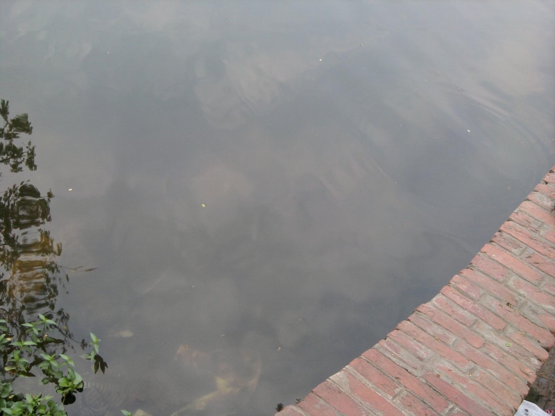 1080P, lake, nature and landscapes, nature, pond, emerald, x264, water