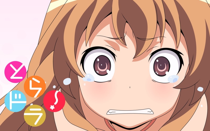 art and craft, cartoon, Aisaka Taiga, women, hairstyle, Toradora!, tora, human body part, digital, character, communication, girl, dora, portrait