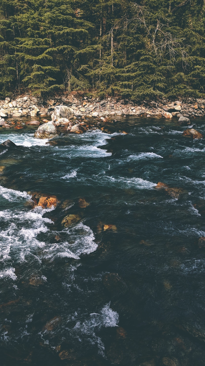 forest, daytime, creek, no people, scenics - nature, river, sea, beauty in nature, solid, promontory, tree, manikaran, portrait, kasol, body, outdoors