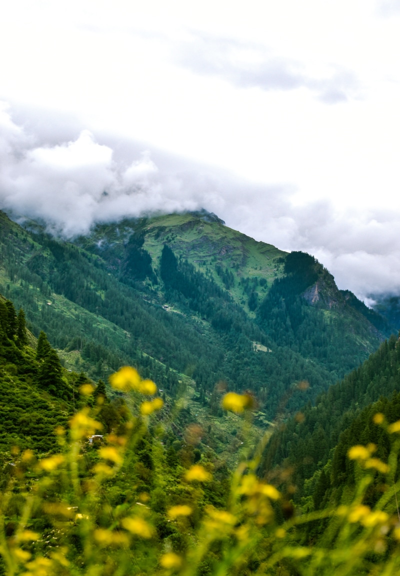 non-urban scene, day, green, nature, india, slope, plant, idyllic, cloud - sky, mountains, environment, grass, green color, daytime, growth, tranquility