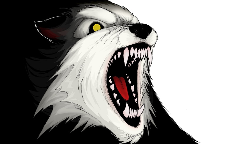 animal mouth, vertebrate, animal representation, 2K, close-up, animal teeth, animals in the wild, black, Wolf, white, animal themes, animal, representation