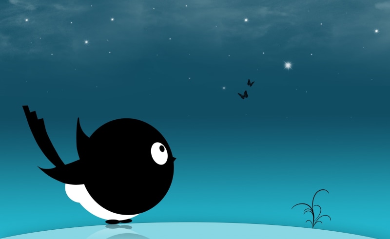 no people, outdoors, sky, animals in the wild, animal themes, nature, group of animals, Vector Art, swimming, vertebrate, water, bird, ball, sport, animal