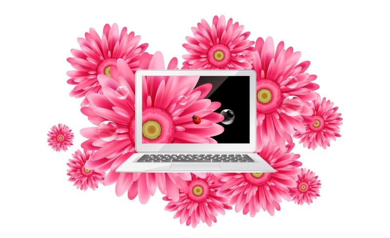 no people, Laptop, flower head, 1080P, white background, connection, technology, flower, cut out, Vector Art, flower arrangement, indoors, studio shot