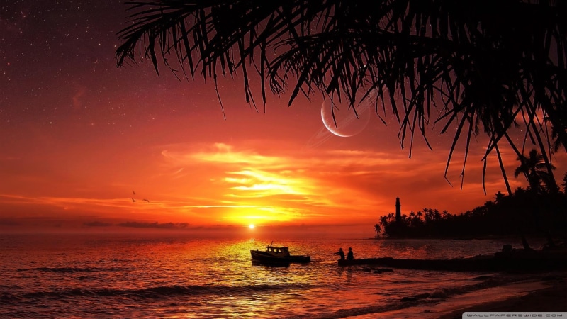 fantasy, beach, summer, 1080P, sunset, 3d and abstract, fishing
