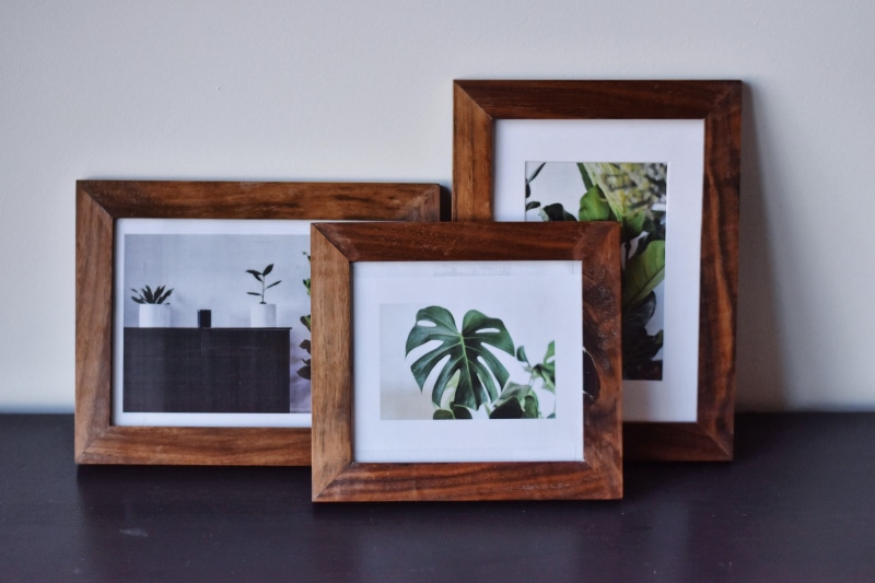 tabletop, plywood, houseplant, hardwood, bronze, growth, canvas, indoors, frame, potted plant, no people, sideboard, plant, day, painting, tree, greater london
