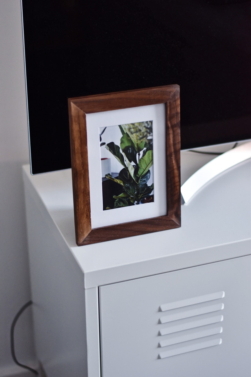 plant, flower, sideboard, container, white color, day, houseplant, leafed, flooring, hardwood, frame, leaf, architecture, blossom, art, painting, decoration