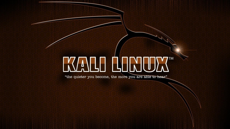 linux, 1080P, brown, kali linux, background, kali, brown background