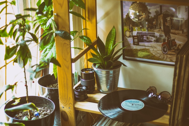 black, brown, table, restaurant, wood, container, classic, day, phonograph record, 5K, nature, plant, potted plant, disco ball, room, record, home interior