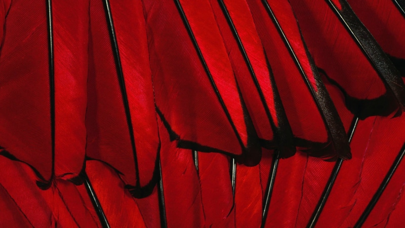 artistic, no people, clothing, curtain, color, stage - performance space, glowing, covering, space, blind, arts culture and entertainment, graphic, day