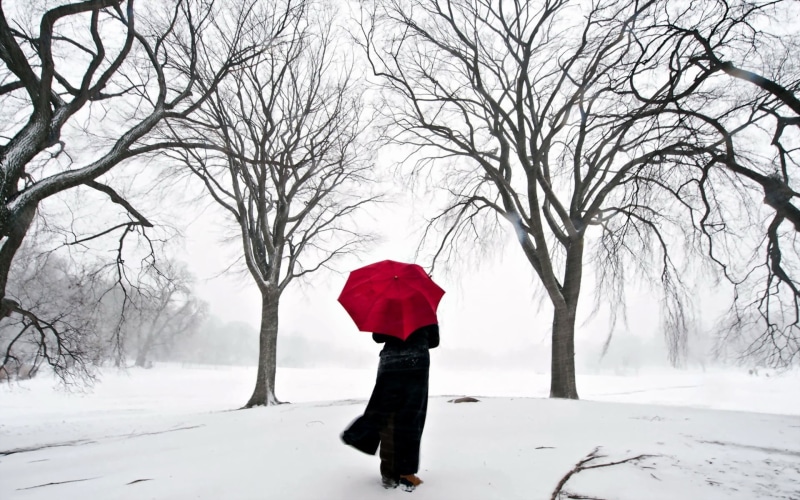 walking, cold - Temperature, white, frost, extreme weather, snow, blizzard, warm clothing, season, street, covering, coat, red, tree, women, beauty in nature