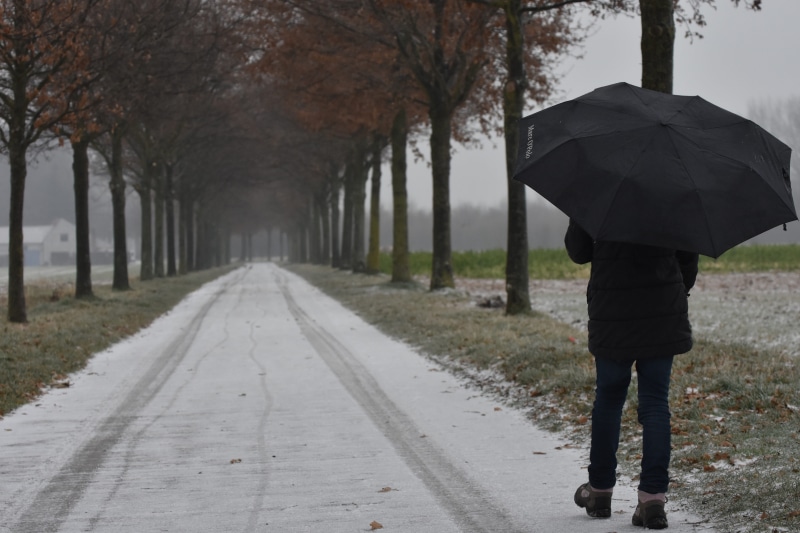 one person, security, rain cover, road, plant, black, Child, tree, outdoors, full length, 5K, Winter, real people, umbrella, holding, wet, diminishing perspective
