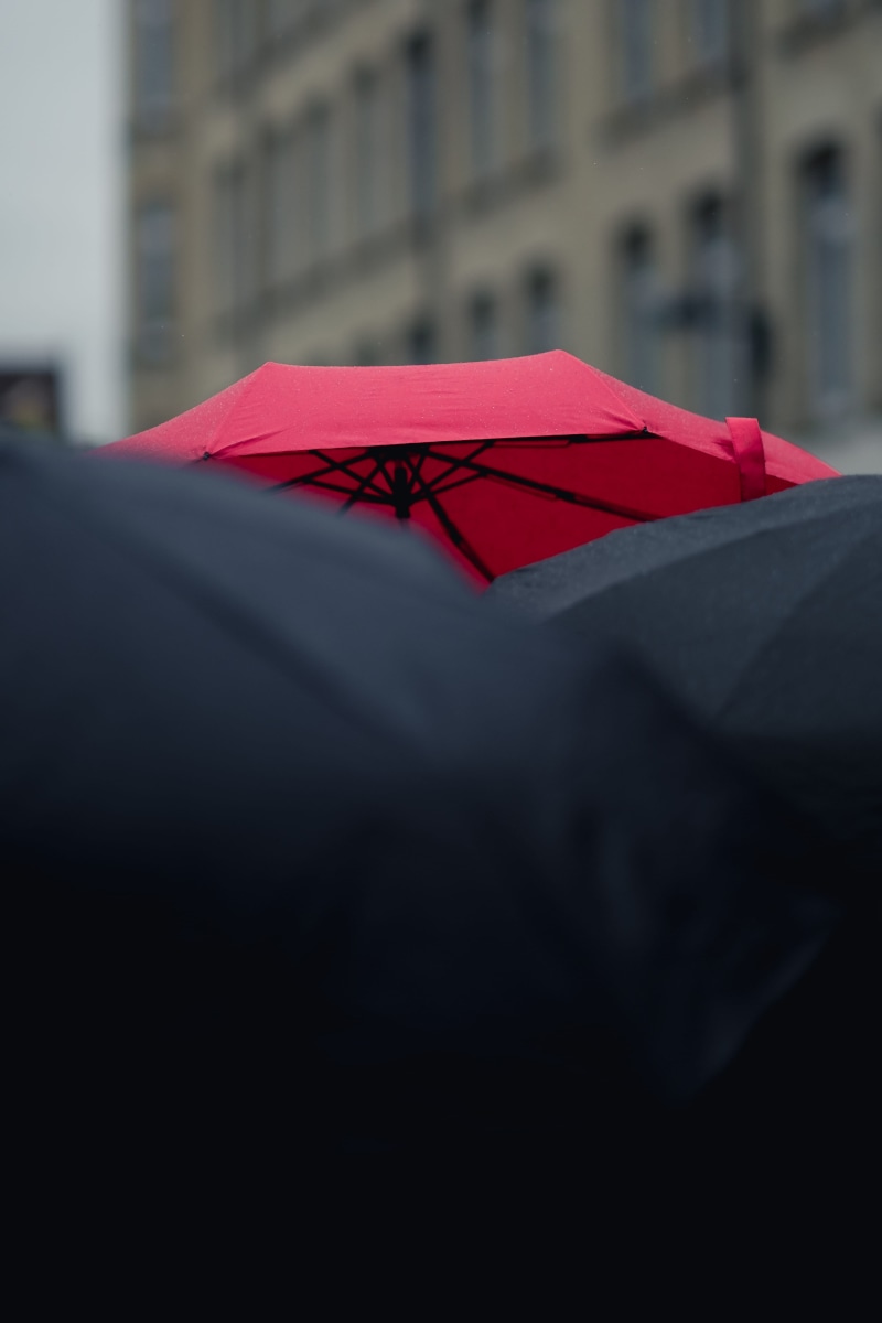 rainy day, outdoors, built structure, closeup, celebration, black, focus on foreground, protection, umbrellas, united kingdom, low angle view, great britain