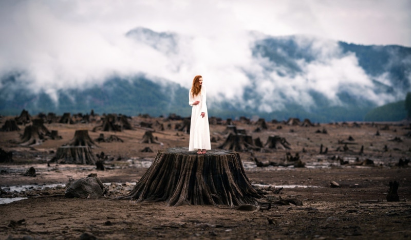 no people, outdoors, 1080P, landscape, nature, standing, day, broom, wood, rock - object, environment, scenics - nature, remote, model, women, celebration