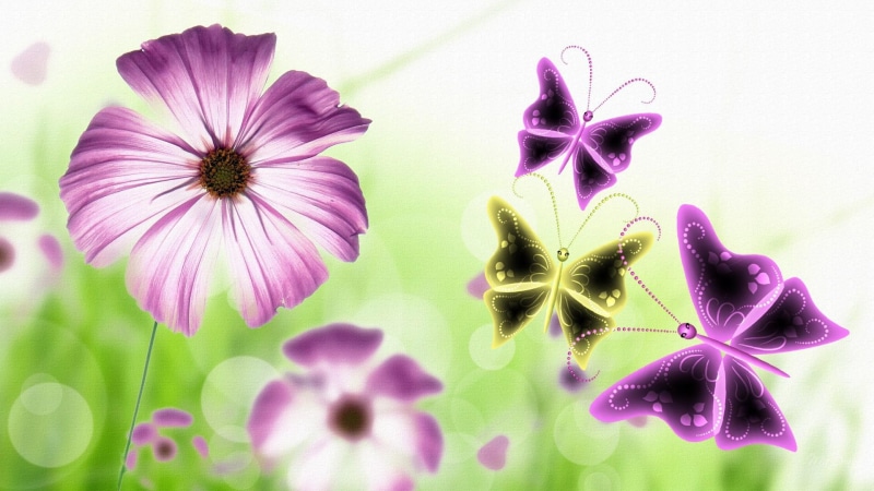 illustration, butterflies, 3d, spring, summer, 1080P, flowers, white, green, daisy, gerbera, purple, butterfly, firefox persona, artistic
