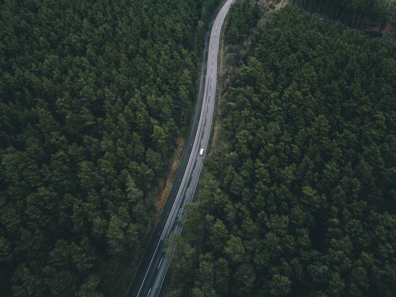 trees, road, aerial, plant, scenics - nature, 4K, mode of transportation, non-urban scene, beauty in nature, tree, green color, forest, view, aerial view