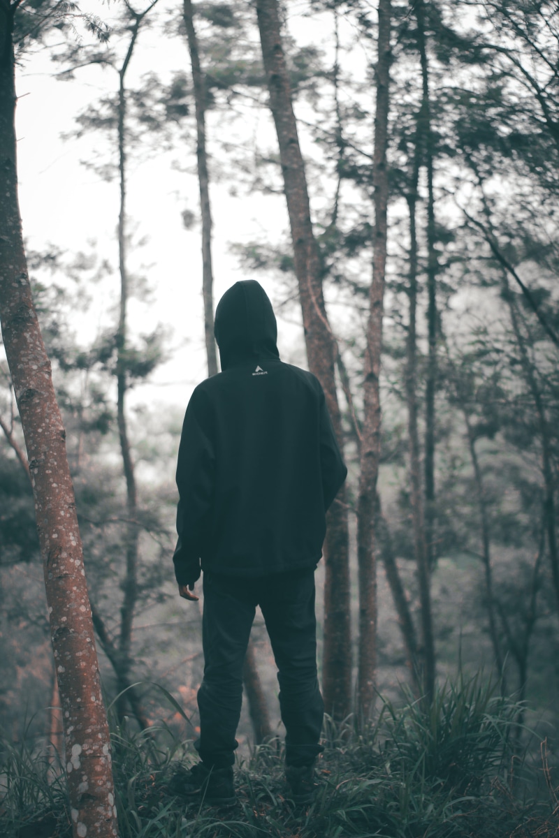 wearing, cold, land, trees, leisure activity, hoodie, aforestation, tree, trunk, day, lifestyles, real people, 5K, men, dawn, weather, woods, fog, hiking