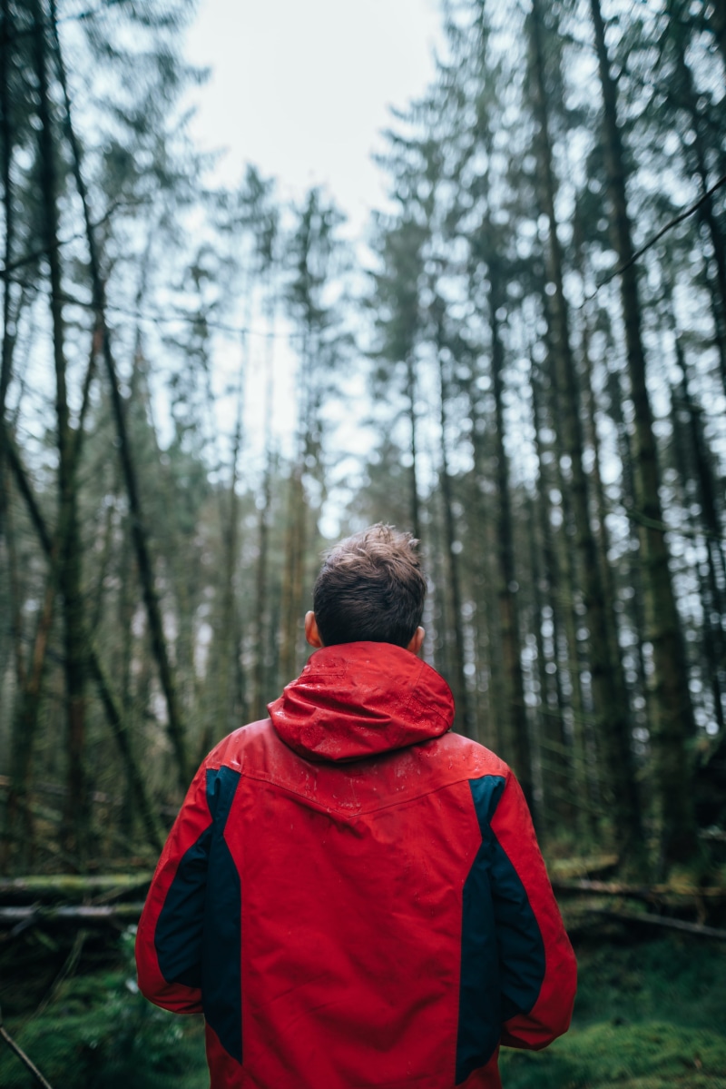 clothing, nature, grass, environment, focus on foreground, hood - clothing, one person, trees, hood, tree, landscape, day, jacket, plant, weather, warm clothing