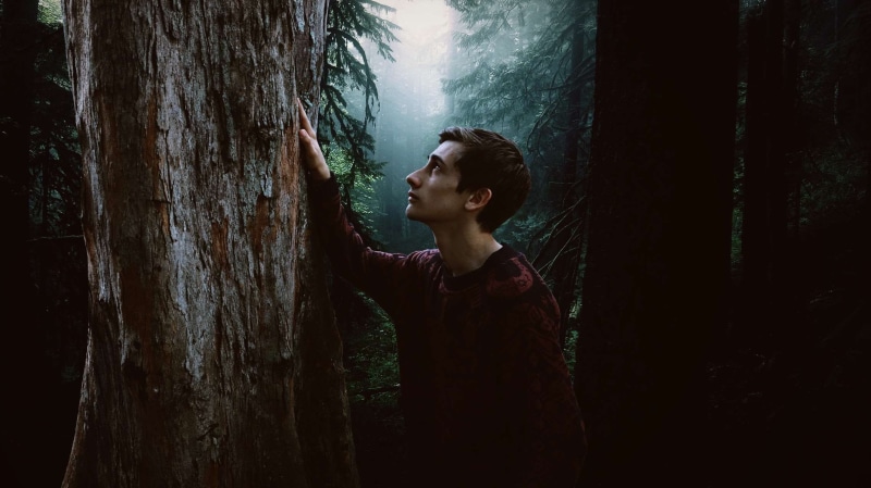 casual clothing, sad, tree, fog, alone, young adult, tree trunk, travel, boy, profile view, dark, backlit, serious, daylight, light, man, people, fun, portrait