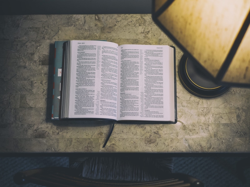 brown, quiet, page, no people, read, desk, day, white, reading, light, communication, close-up, still life, directly above, activity, black, publication