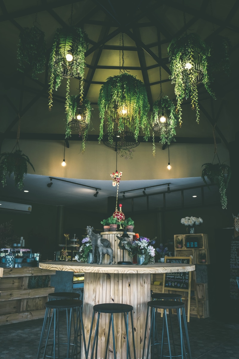 indoor, interior design, surrounded, vine, pendant, stools, room, celebration, thailand, night, bar stool, lighting, hanging plant, brown, no people, lighting equipment