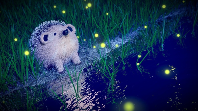 shading, modeling, cad, cute, rendering, illuminated, near, blue, emitter particles, Hedgehog, tree, grass, water, animals in the wild, animal, one animal