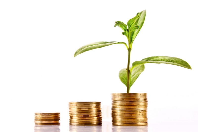prosperity, nest egg, making money, beginnings, 1080P, business, gardening, currency, gold colored, bringing home the bacon, no people, nature, coin, plant