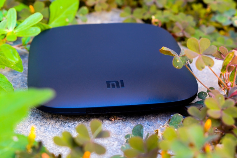 tv box, beauty in nature, gadget, android, flower, 5K, outdoors, xiaomi, nature, vulnerability, blue, leaf, communication, black, plant, wireless technology