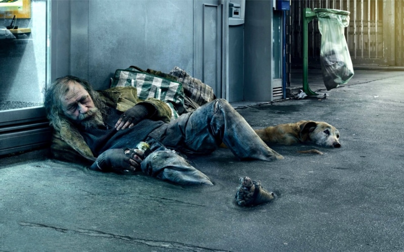 sitting, grief, poverty, problems, depression - Sadness, pets, fur, dirty, lying on side, animal, homeless, s, hopelessness, loneliness, trimmed, tramp