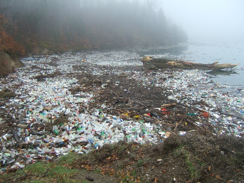 natural pollution, day, messy, garbage, air pollution, filthy river, unhygienic, body, 2K, water, river, bottles, garbage Dump, water pollution, pollution