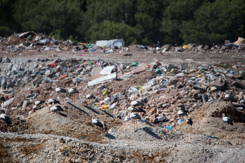 outdoors, land, environmental issues, stork, dirt, recycling, junkyard, water pollution, landscape, no people, garbage dump, pollution, dirty, environmental damage