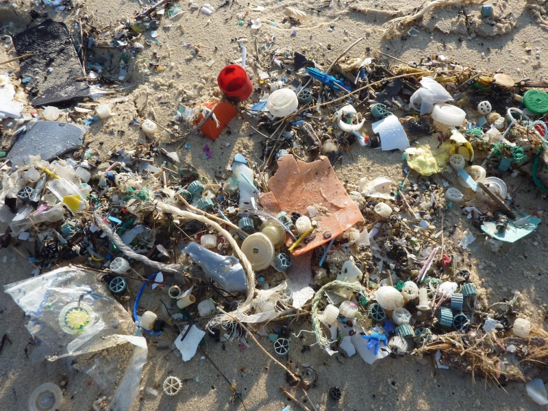 pollution, adult, coast, recycling, working, Plastic, ufer, waste, unhygienic, garbage Dump, landfill, junkyard, 2K, only men, plastic, Waste, dirty, industry