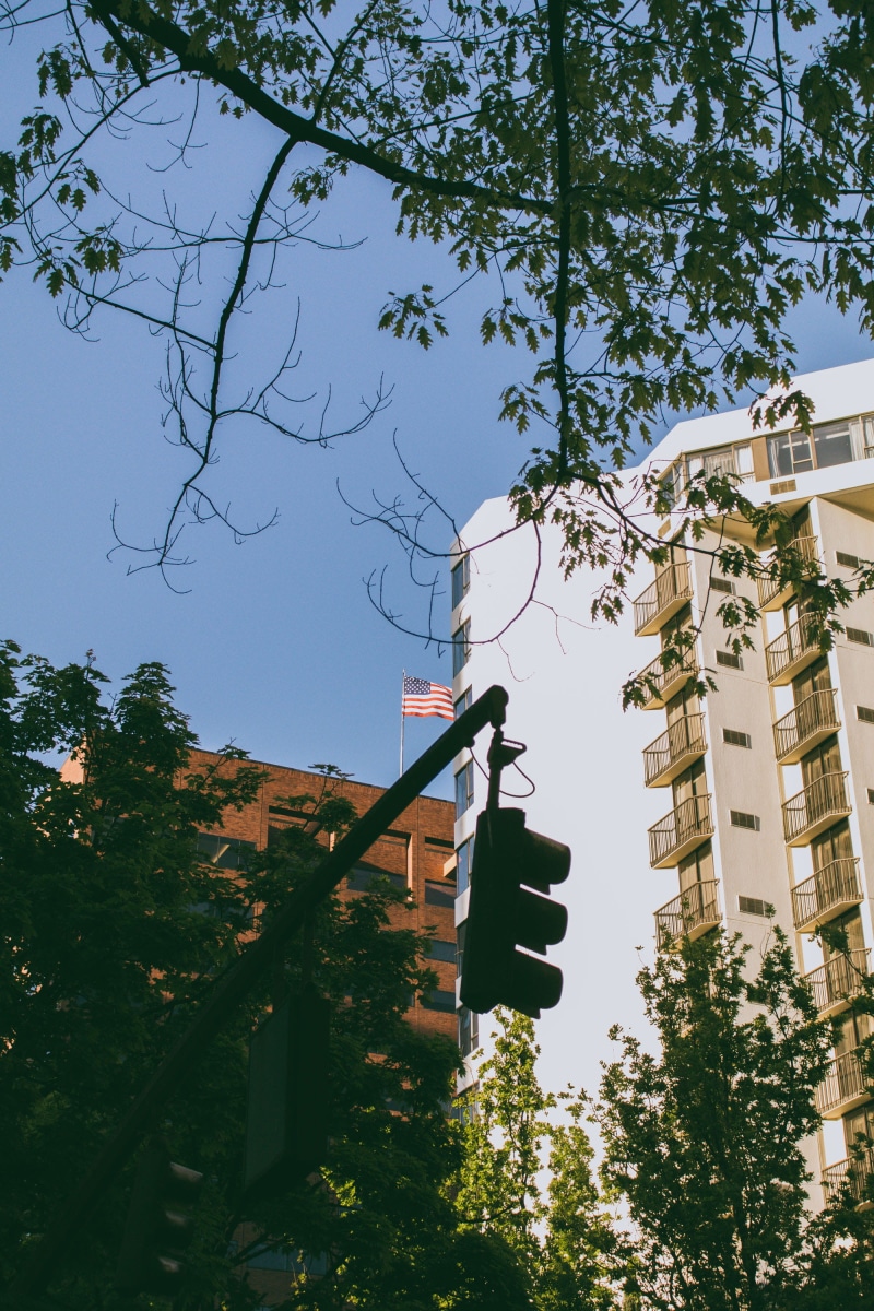 landscape, low angle view, rose, portland, architecture, building, clear sky, god, light, usa, trees, 2K, city, communication, plant, blue sky, american flag
