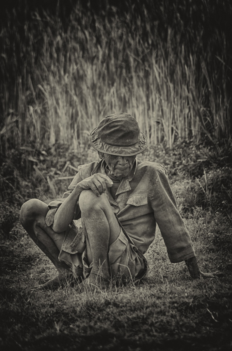 mammal, conflict, selective focus, government, black and white portrait, 4K, aggression, nature, armed forces, old man, plant, black And White, madagascar