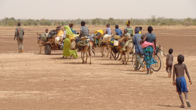group, escape, men, crisis, immigrant, people, crowd, day, mammal, poverty, adult, group of people, camp, migration, domestic, poor, flee, working animal