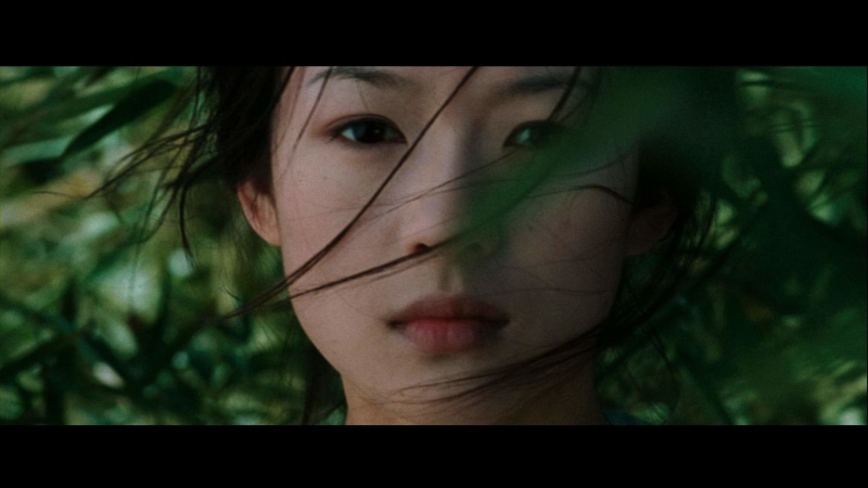 Movie, Crouching Tiger, Hidden Dragon, 1080P