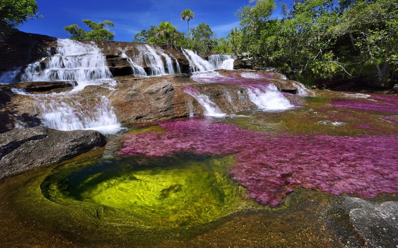 serrania, meta, province, la, guayabero, located, macarena, colombian, tributary, de, river, cristales, 1080P, cano