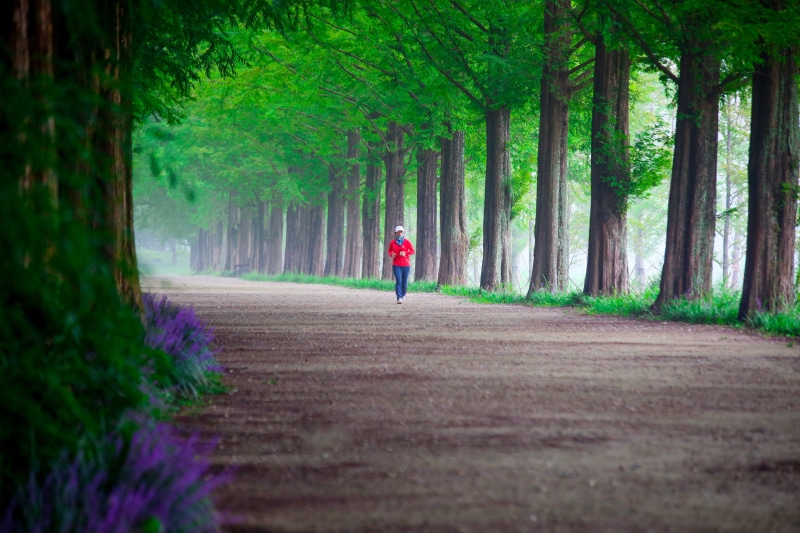 growth, nature, full length, sidewalk, one person, 5K, outdoors, meta information of  win, wood, leisure activity, lifestyles, direction, walk, real people
