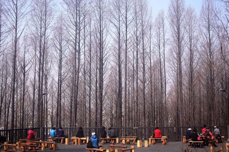 bare tree, tree trunk, seat, meta es quay air, real people, forest, group of people, plant, sul road, outdoors, 5K, trunk, bench, nature, winter, growth